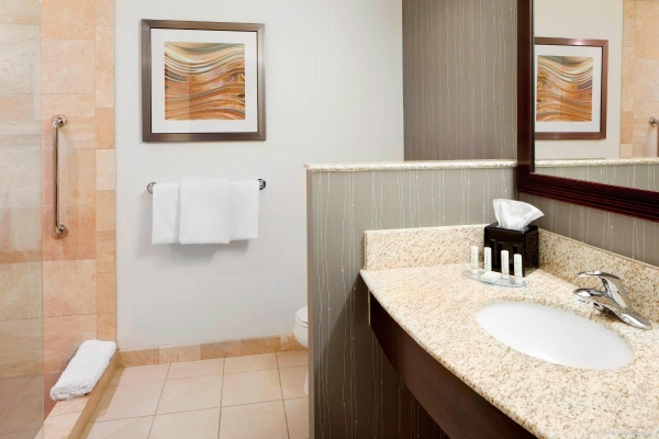 Hotel Courtyard by Marriott Pittsburgh Airport Settlers Ridge (Crafton)